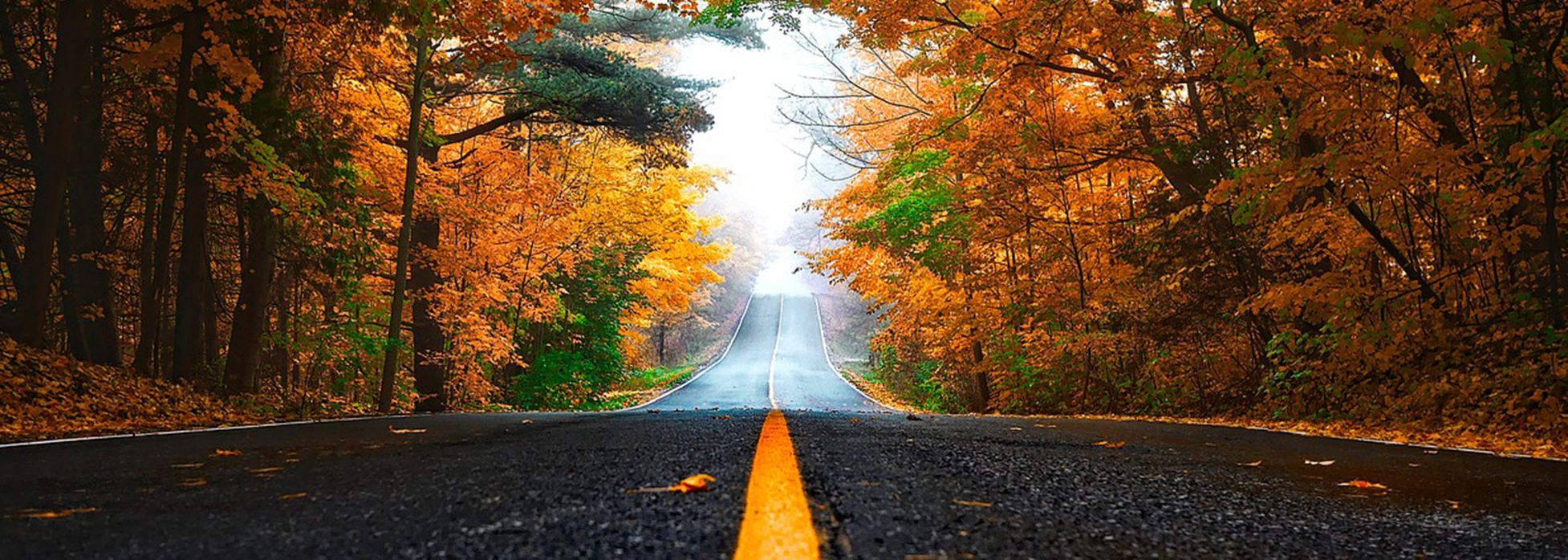 autumn car accessories